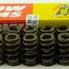 Crow Cams Holden Commodore V6 Ecotec Conical Valve Springs Set x12 4231-12 - Image 2